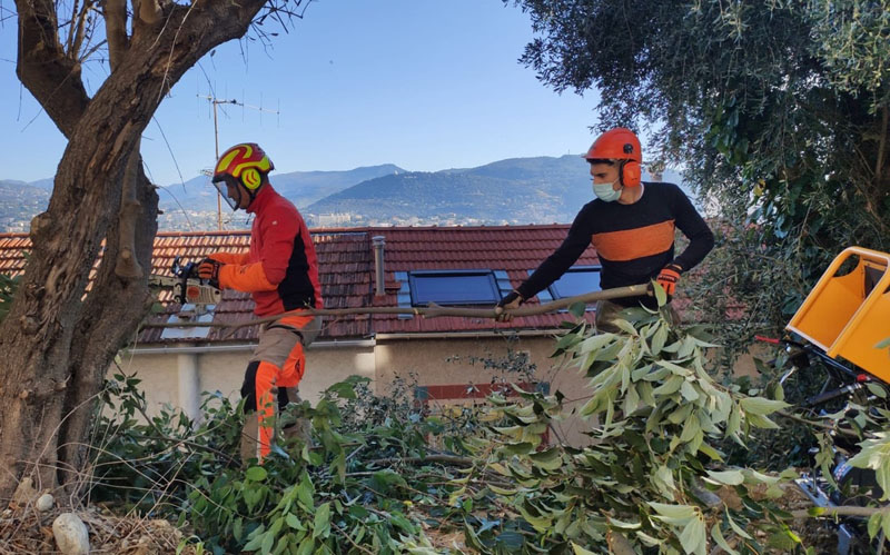 Entretien des espaces verts Vence