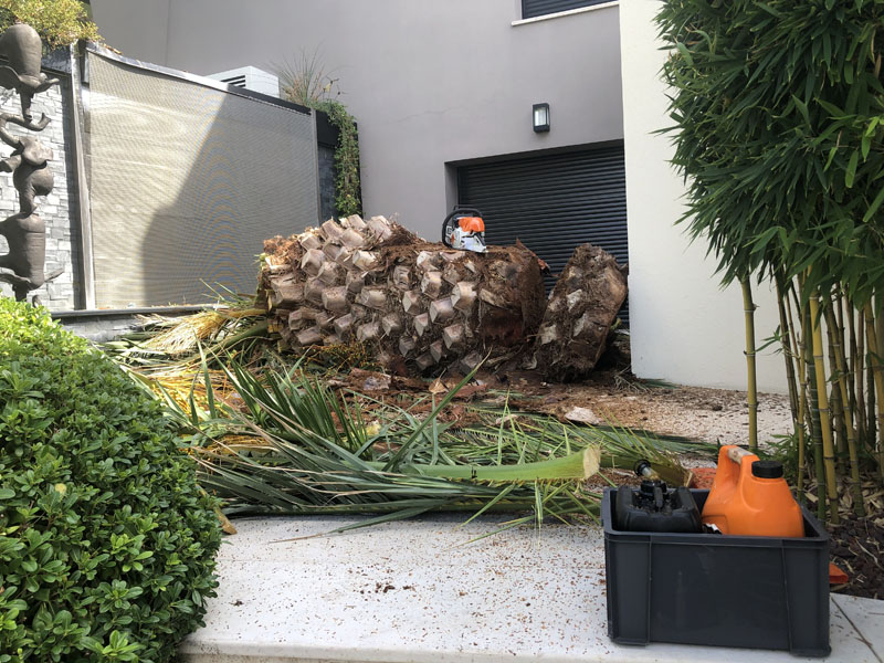 Entretien des espaces verts Vence