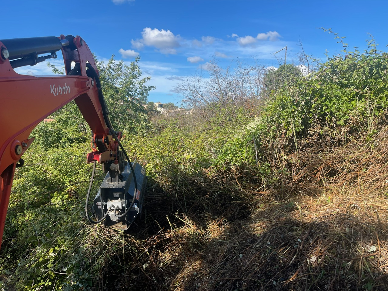 Éclaircissage Vence